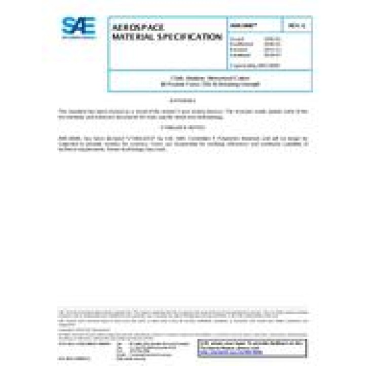 SAE AMS3806G PDF