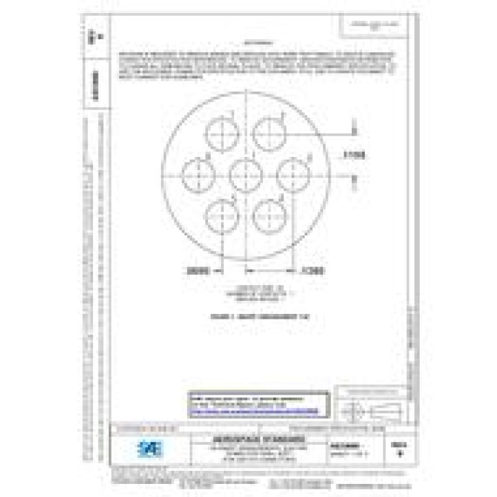 SAE AS33699B PDF