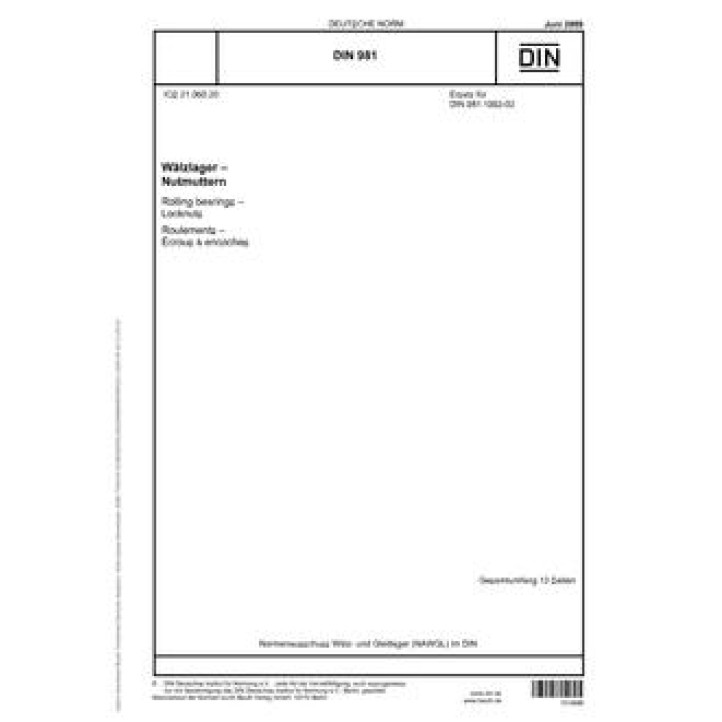 DIN 981 PDF