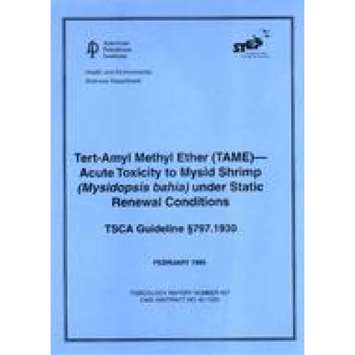 API TR 407 PDF