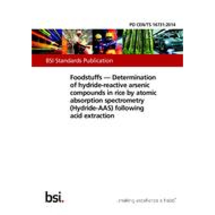 BS PD CEN/TS 16731 PDF