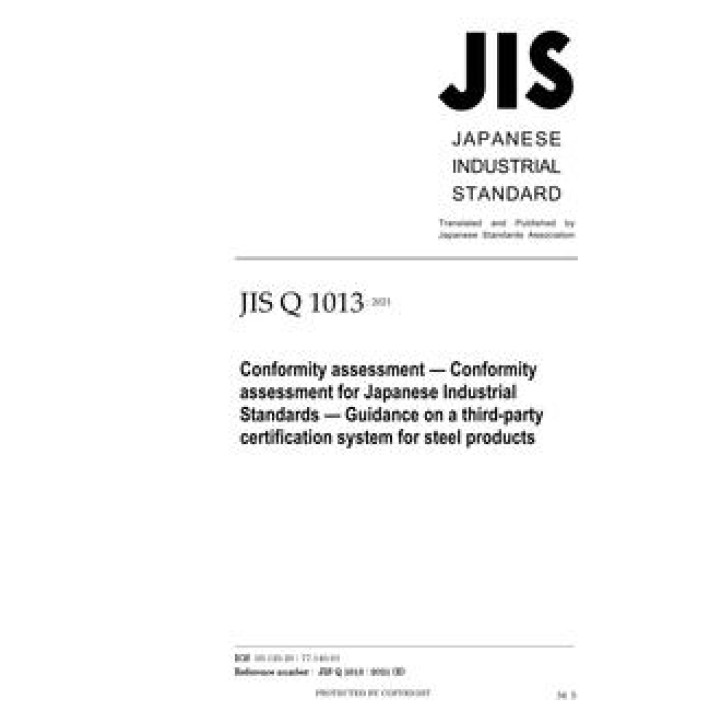 JIS Q 1013 PDF