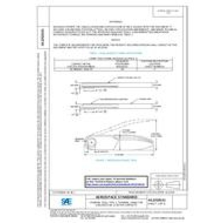 SAE AS22520/31 PDF