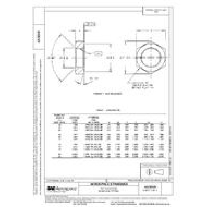 SAE AS5019 PDF