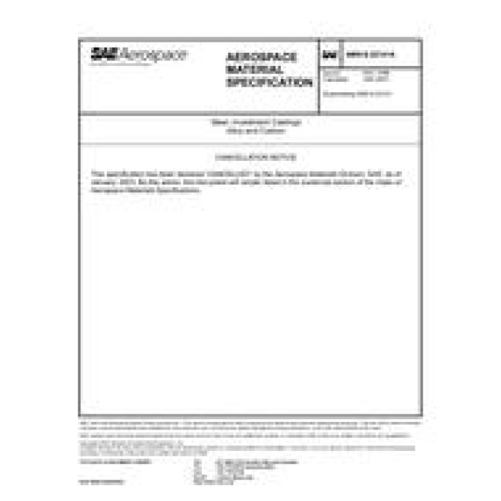 SAE AMSS22141A PDF