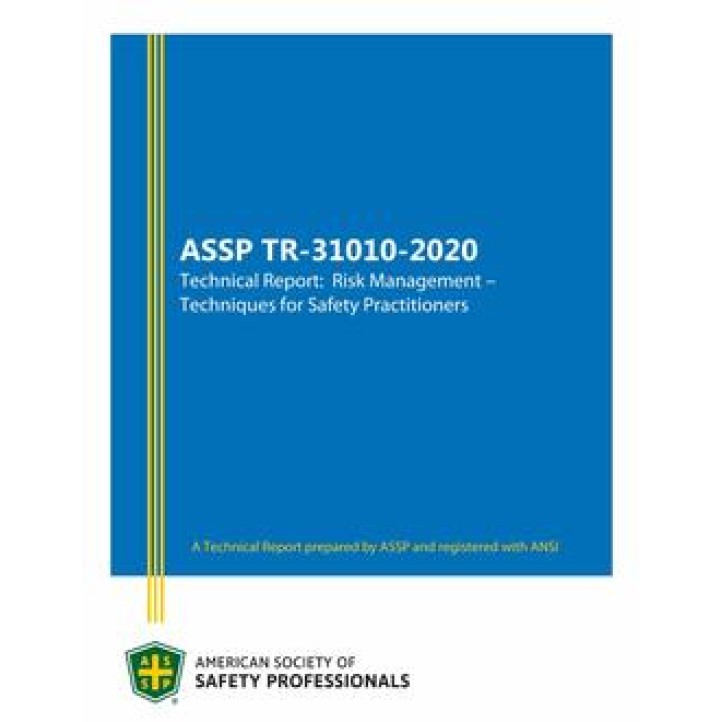 ASSP TR-31010 PDF