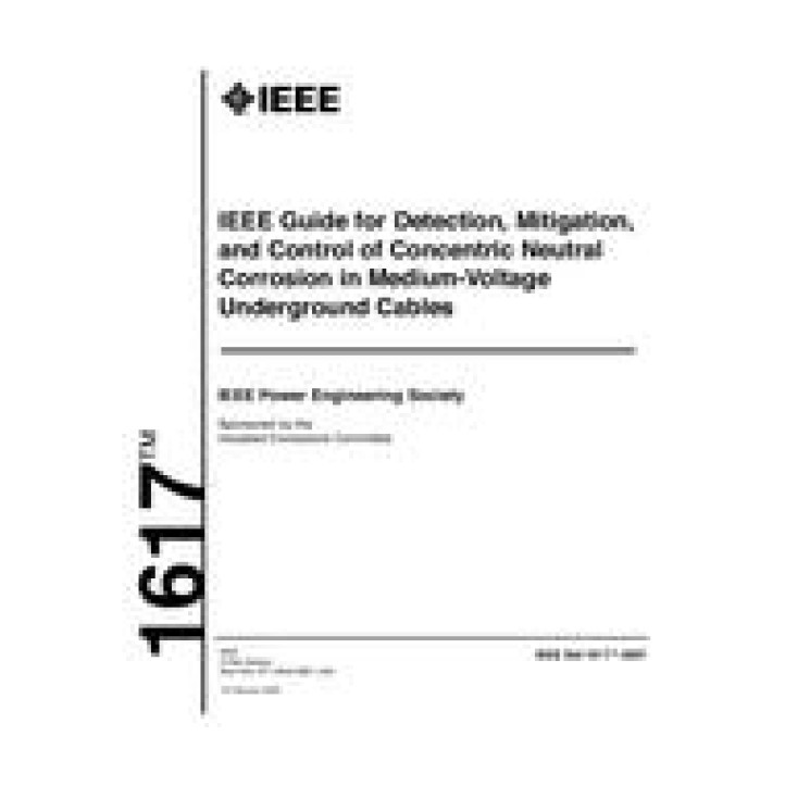 IEEE 1617 PDF