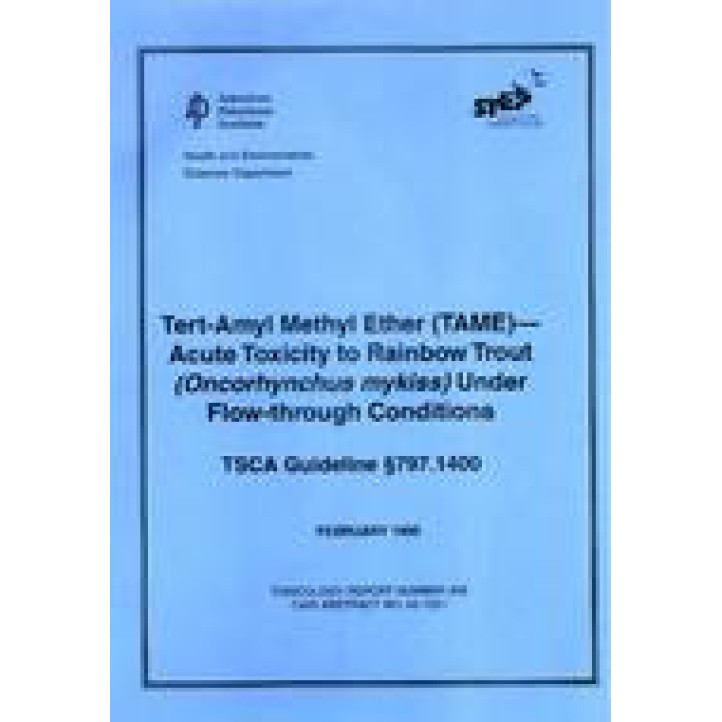 API TR 408 PDF