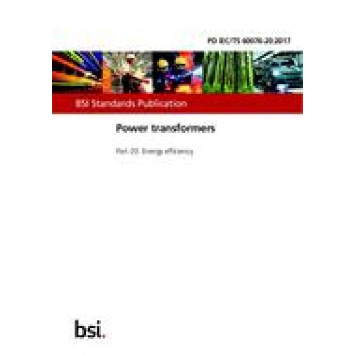 BS PD IEC/TS 60076-20 PDF