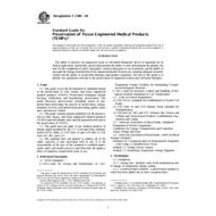 ASTM F2386 PDF