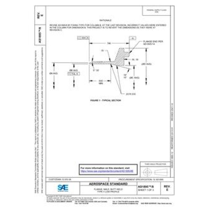 SAE AS1895/8E PDF