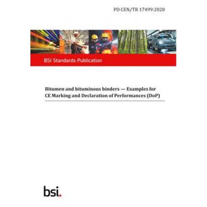 BS PD CEN/TR 17499 PDF