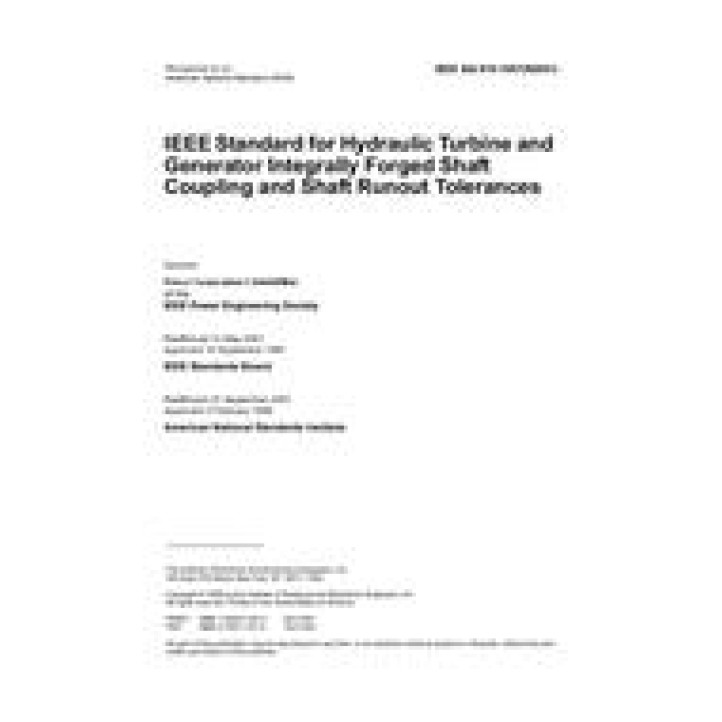 IEEE 810 PDF