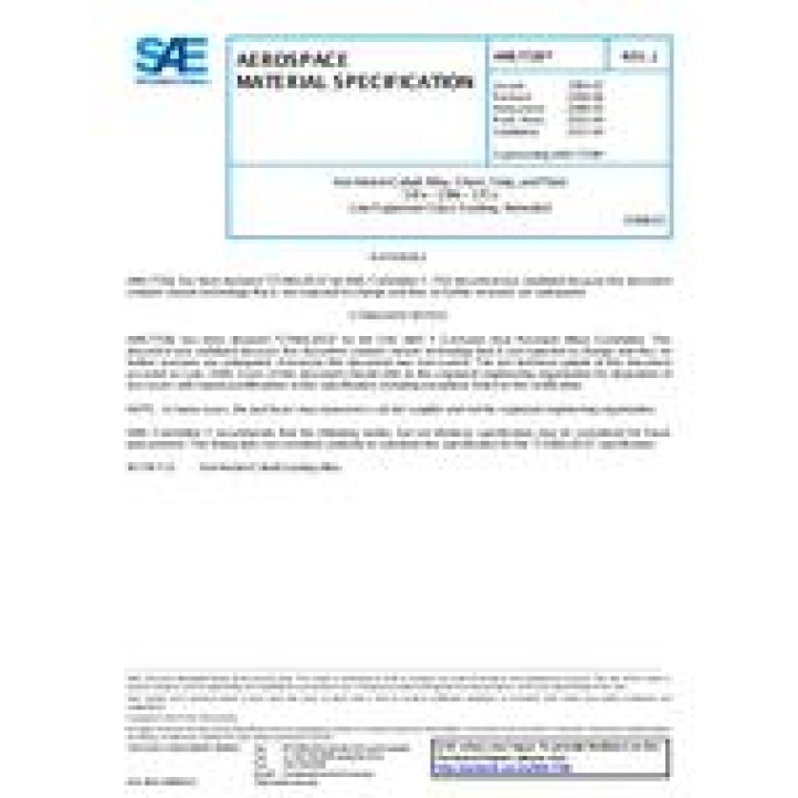 SAE AMS7728J PDF