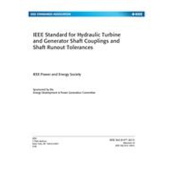 IEEE 810 PDF