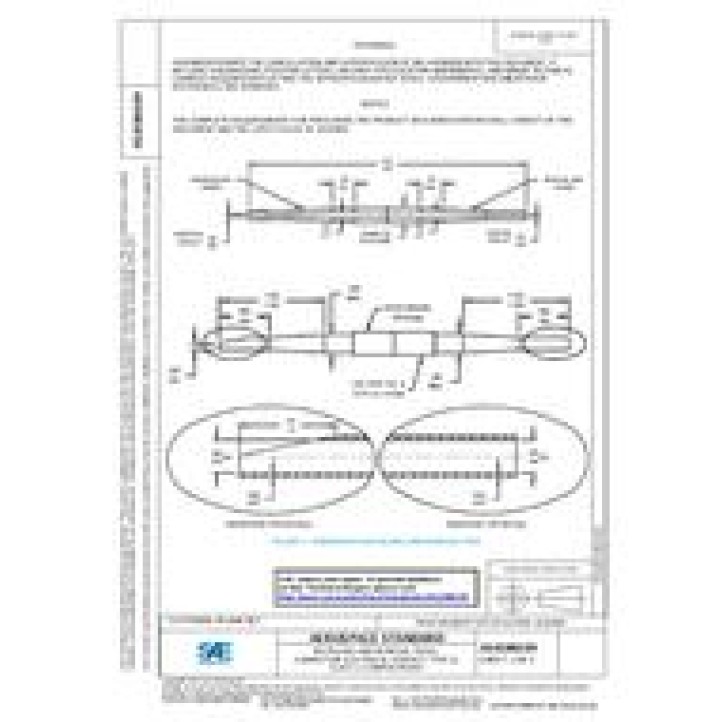 SAE AS81969/39 PDF