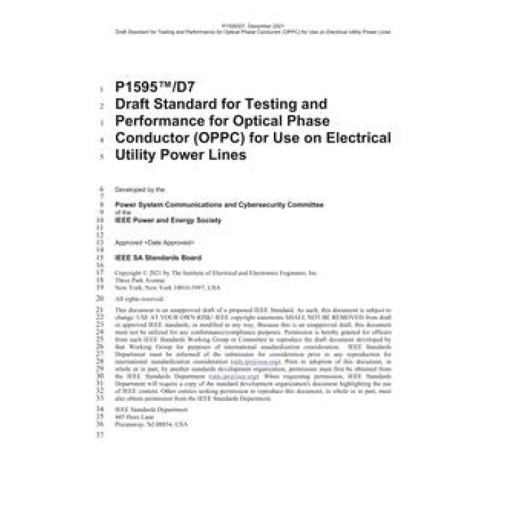 IEEE P1595 PDF