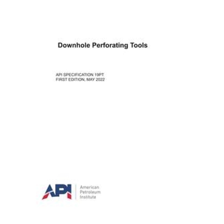 API SPEC 19PT PDF