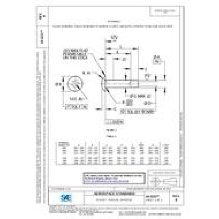 SAE AS3231B PDF