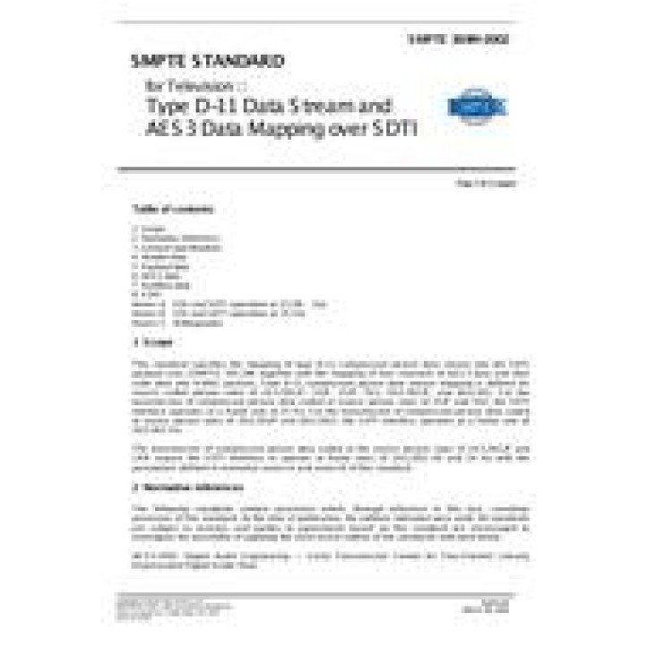 SMPTE 369M PDF