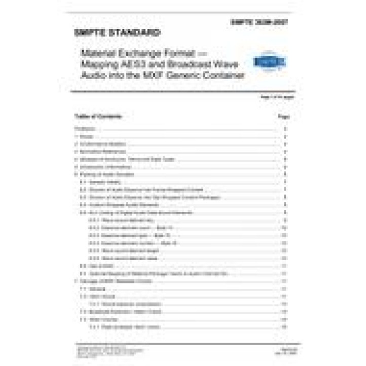 SMPTE 382M PDF