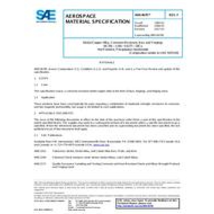 SAE AMS4676F PDF