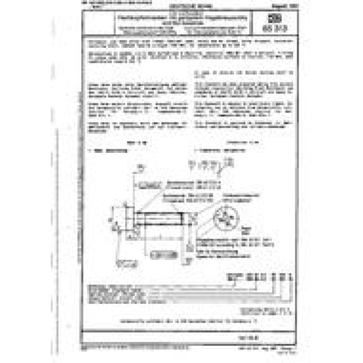 DIN 65313 PDF