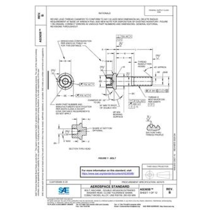 SAE AS3658B PDF