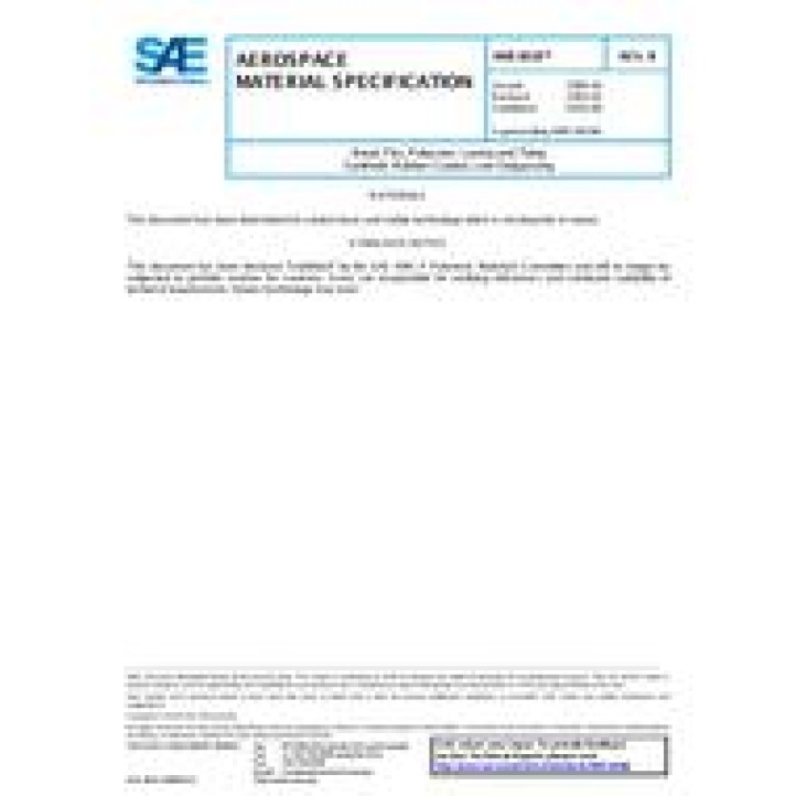 SAE AMS3818B PDF