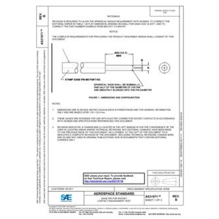 SAE AS31971B PDF