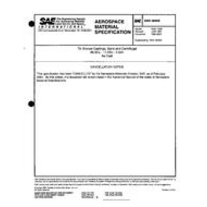 SAE AMS4846B PDF