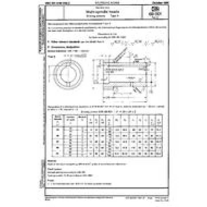 DIN 69001-31 PDF