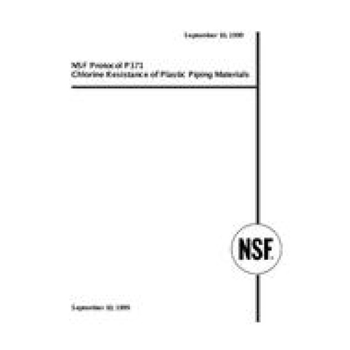 NSF P171 PDF