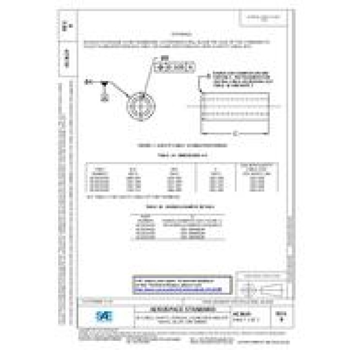 SAE AS3619B PDF