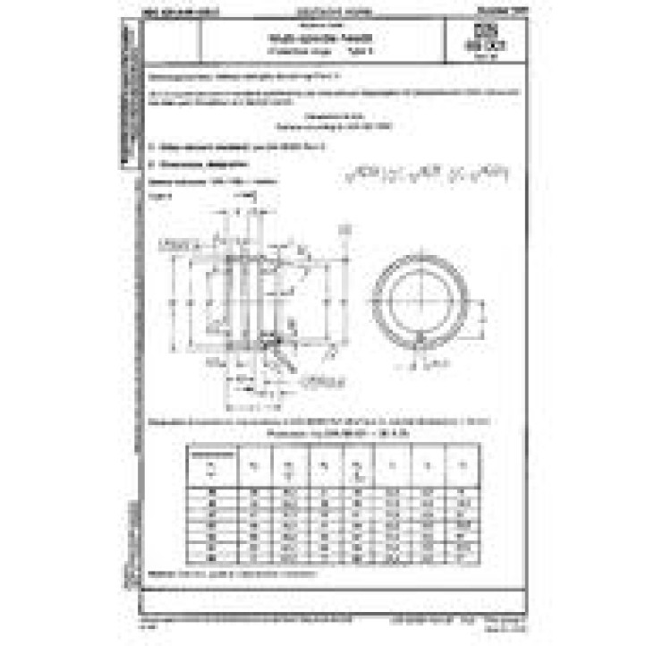 DIN 69001-39 PDF